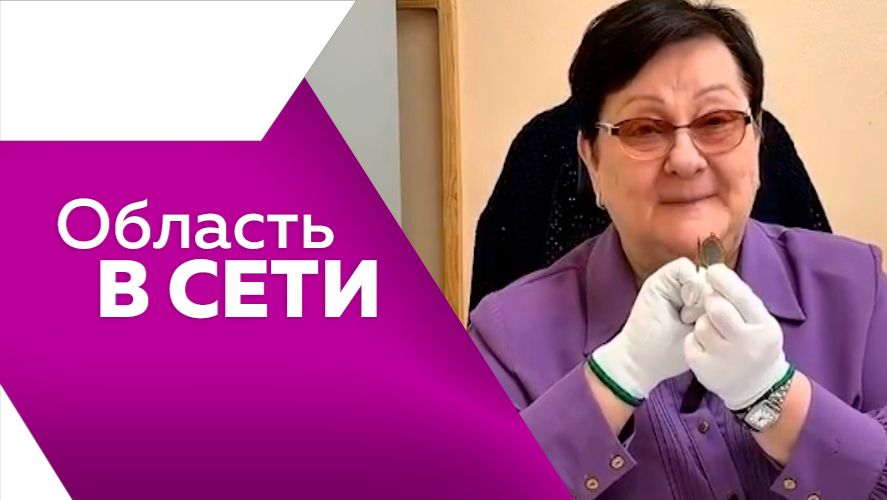 Область в сети № 337