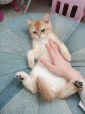 персик и я,,🥰