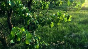 Портал счастья открыт. Нарисуйте этот знак на зеркале.