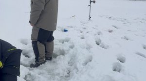 И снова поимка на актив