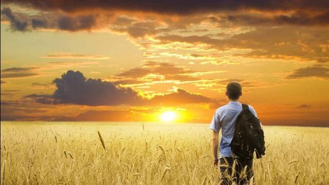 Усталый путник  (стих в прозе).