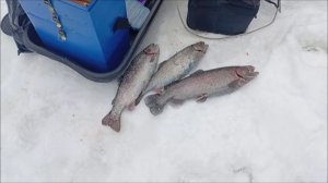 Поимки и сходы на Спорт-зоне. Клёвое место Лосиный остров.