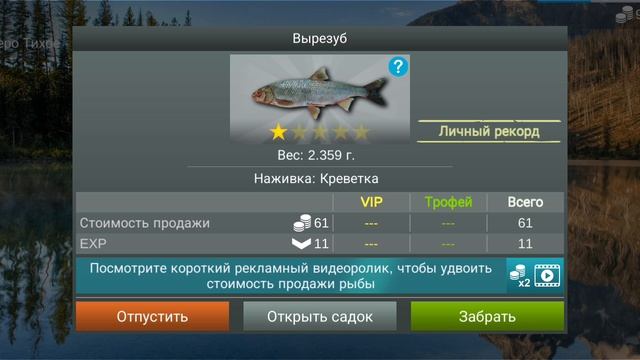 Ловим османа и вырезуба в My Fisheng World