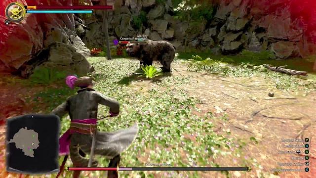 Якудза Пират на Гавайях! Медведь!!!