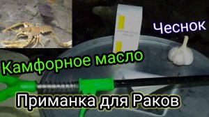 Продолжение Эксперимента!!!Приманка для Раков. Часть 2