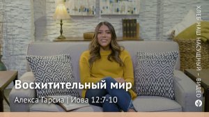 Восхитительный мир | Иова 12:7-10 | Хлеб Наш Насущный – видео