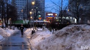 Москва. Гуляю по любимой аллеи и не забываю про нужные дела.