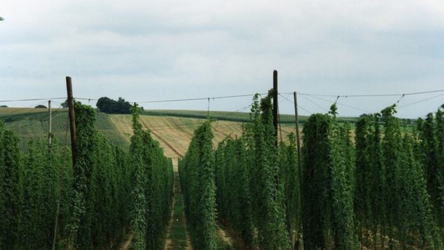 Чувашия - край ста тысяч песен, ста тысяч слов и ста тысяч вышивок
