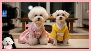 Материнское сердце ❤️ 🐶 Ещё видео с Нямнямом и Нямдолем 🎧 ASMR