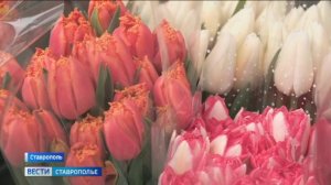 В Ставрополе цветочные ярмарки ждут наплыва покупателей