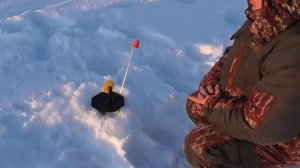 Зимняя Рыбалка с Ночёвкой,  На Жерлицы! Рыба В Глухозимье Не Спит!