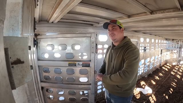 Cattle Trucker Answers Question’s & Fixing A Busted Door (ep.11)
