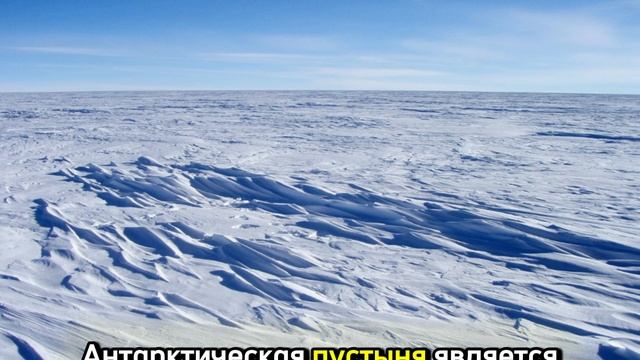 Антарктическая пустыня