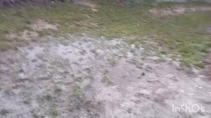 сегодня работали грузчиками/перенесли три тонны