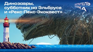 Динозавры, субботник на Эльбрусе и «Рекс-Пекс-Экоквест» | Смотритель маяка с Романом Маякиным