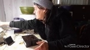 День прошёл незаметно.