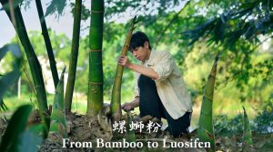 Режем побеги бамбука, ловим улиток и готовим луосифэнь