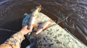 РЫБАЛКА СЕТЯМИ ВЕСНОЙ НА РАЗЛИВАХ. ПРОВЕРКА СЕТЕЙ, ПОПАДАЕТ РАЗНАЯ РЫБА. Лодка X-River Rocky 375.