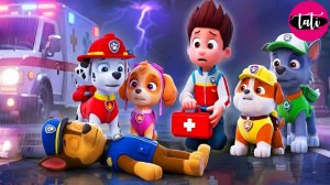 Щенячий патруль и Маршалл. Залипательное видео. Мультфильм для детей и малышей. Анимация 339
