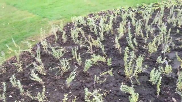 Парк Академический и исторический ландшафт в Москве