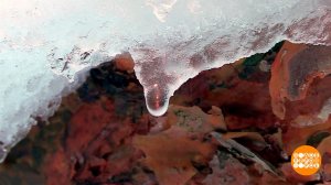 По всем приметам - весна! Доброе утро. Фрагмент выпуска от 06.03.2026