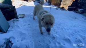 Это жестоко,но надо выбирать одно из двух