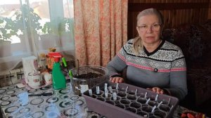 Ствол толстый, листья сморщенные: сею томатных гномов.