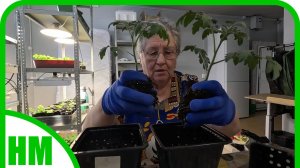 6 марта. Я сегодня молодец 😊