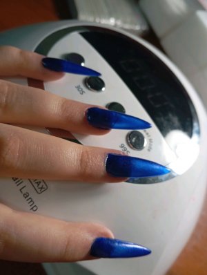 разговариваю со всеми переписка только в чате!