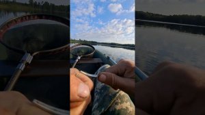 летняя рыбалка 2025.mp4