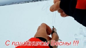 Поздравляю всех женщин страны с 8 марта.