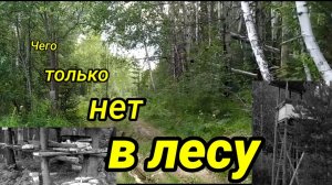 Разведка в Лесу. Попытка проехать в Заброшенную Деревню.Металлокоп и не Только