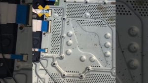 Кишащую тараканами Sony Playstation 4 купила пара зумеров из Новосибирска — несколько десятков живых