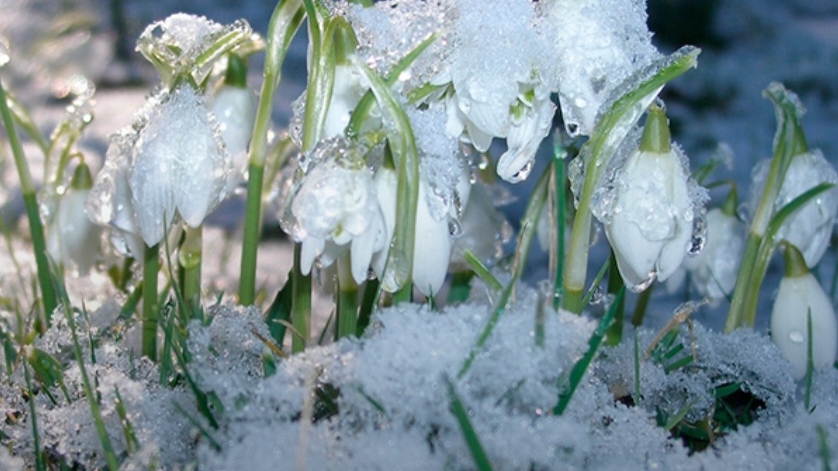 СП Добиваю недовязы 5/2026 Отчёт 10 с Мариной Стоговой