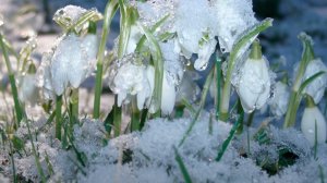 СП Добиваю недовязы 5/2026 Отчёт 10 с Мариной Стоговой