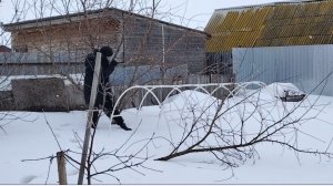 ЖИЗНЬ В СЕЛЕ: НА ОБЕД ГОЛУБЦЫ/ВАДИМ ОБРЕЗАЛ ЯБЛОНЮ/продолжение 3 часть.