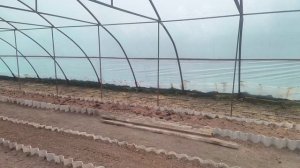 Теплые грядки часть 3