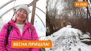 Начало марта в моем саду / Влог №1