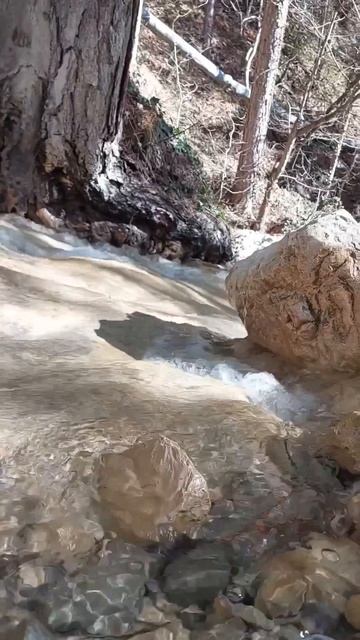 Водные ресурсы ГПЗ «Ялтинский горно-лесной».