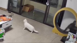 Наконец-то моя очередь!