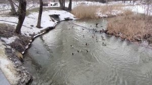 Вышли на прогулку 06.03.26.