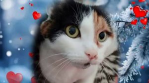 Привет от Матильды 2026 г.