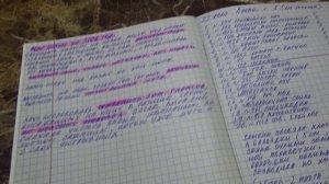 ПОСЕВЫ 2026-42. Хочу уберечь Томатных Гномов от морозов. Мои планы на будущий огородный сезон.