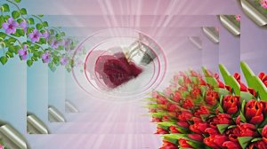 Поздравление С 8 Марта 8 от Киностудии Мудрого Кота Тимофея!