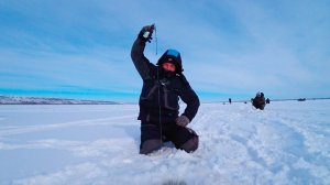 Упёрся в бровку и попал в судачий котёл! Тонны рыбы на балансир!