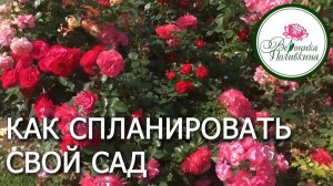 Как спланировать свой садовый участок