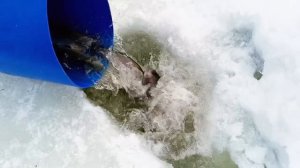 Запуск от 06.03.2026