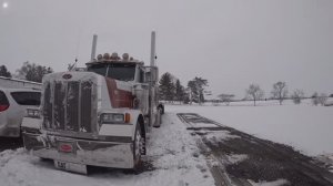 Везем сено американским бурёнкам