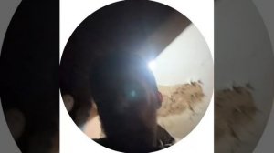 Утро доброе от Воробья