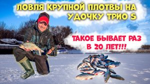 Денис Вихров и удочка Трио S. Попал на бешеный клев крупной плотвы и окуня с безмотылкой!